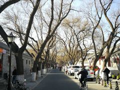 -北京国子监胡同