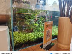 -万达广场(泰安泰山店)