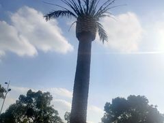 -上海月湖雕塑公园