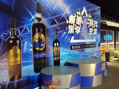 -宝山流光速国际赛车场(宝山店)