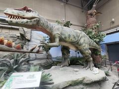 -国家自然博物馆