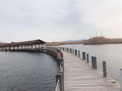 -苏州太湖湖滨国家湿地公园