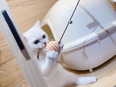 -PETKIT小佩宠物(昭化店)