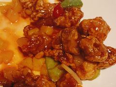 -金鼎轩(亚运村店)