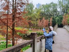 -重庆彩云湖湿地公园