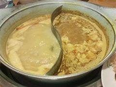 -青瓷火锅料理(西单大悦城店)
