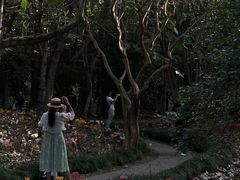 -杭州植物园