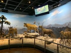 -陕西自然博物馆