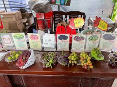 -马陆小张葡萄园农家乐