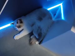 -零纪元VR体验馆·桌游(黄浦店)