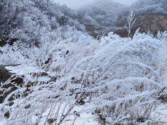 -妙峰山风景名胜区