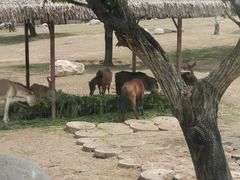 -西安秦岭野生动物园