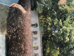 -清远熹乐谷温泉度假酒店