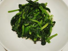 高山豆苗-南麓·浙里(外滩店)