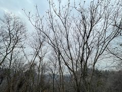 -幕燕滨江·长江观音景区