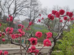 -元大都城垣遗址公园