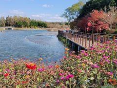 -东平国家森林公园