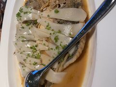 -桂满陇·海市蜃楼·黑金(国金店)