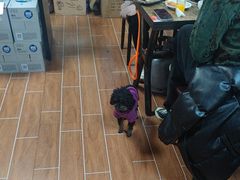 -清真·馬坡二旦烧烤(人生一串拍摄店)