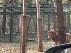 -秦皇岛野生动物园