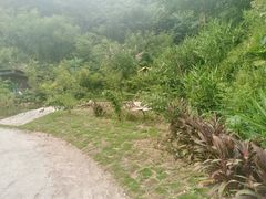 -清泉湾生态旅游度假区