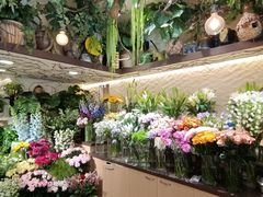 -上海明天广场JW万豪酒店