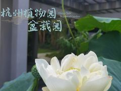 -杭州植物园