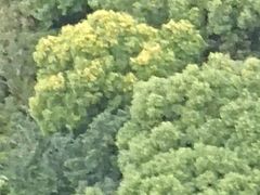 -裕和堂中医推拿艾灸(太古汇臻品店)