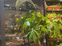 -香浙汇(望京店)