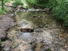 -碓臼峪自然风景区