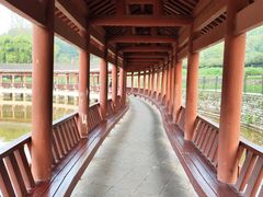 -龙头寺公园