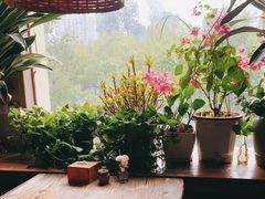 -云之南(八里庄店)