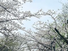 -南京城墙景区