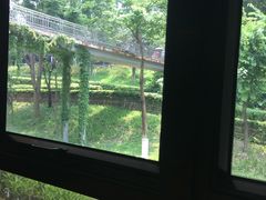 景观位-必胜客(WOW中心城店)