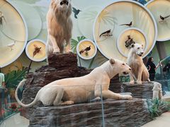 -陕西自然博物馆