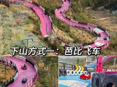 -盈香心动乐园