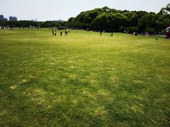 -昆山城市生态森林公园