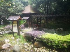 -明月山天沐温泉度假村