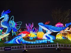-第34届青岛国际啤酒节
