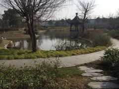 -无锡梁鸿湿地丽笙度假酒店·流觞西餐厅