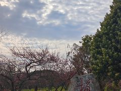 -凤凰沟景区