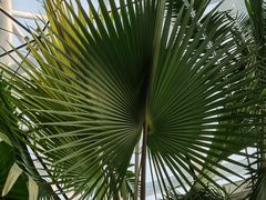 -北京植物园-展览温室