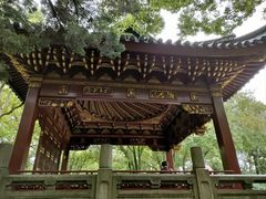 -汇龙潭