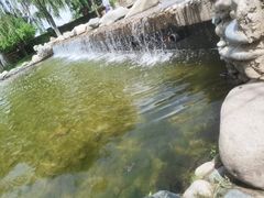-兰山公园