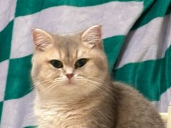 -潇湘阁(三里屯SOHO店)