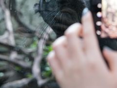 -广州长隆野生动物世界