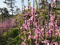 -南京金牛湖风景区