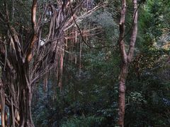 -华南国家植物园-售票处