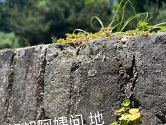 -上海方塔园