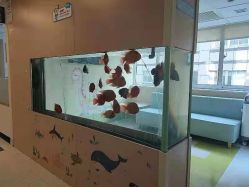 -杭州贝瑞斯美华妇儿医院·早孕·产检·儿科